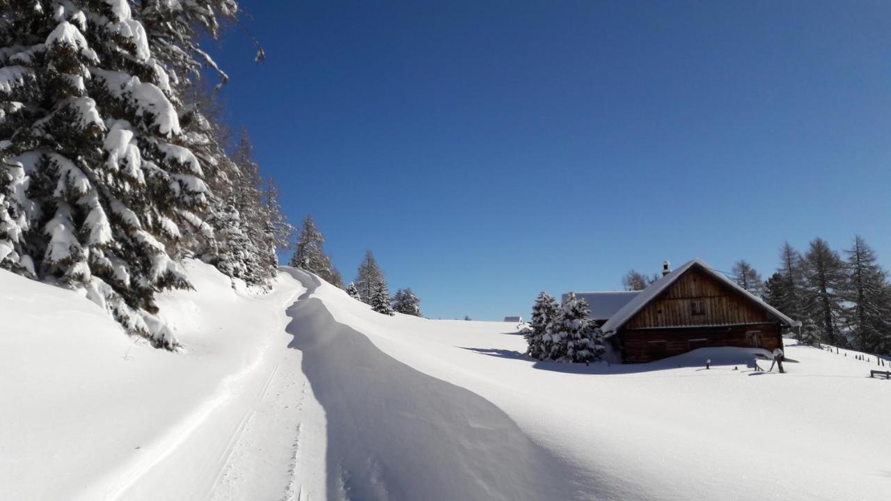 Farm stay Pfeifferhof *